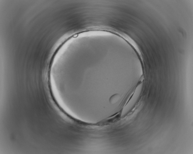X0000113051005200910081228