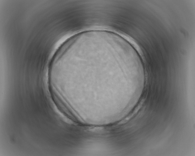 X0000113051006200910081228