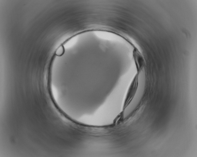 X0000113051007200910081228
