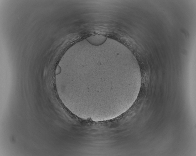 X0000113051009200910081227