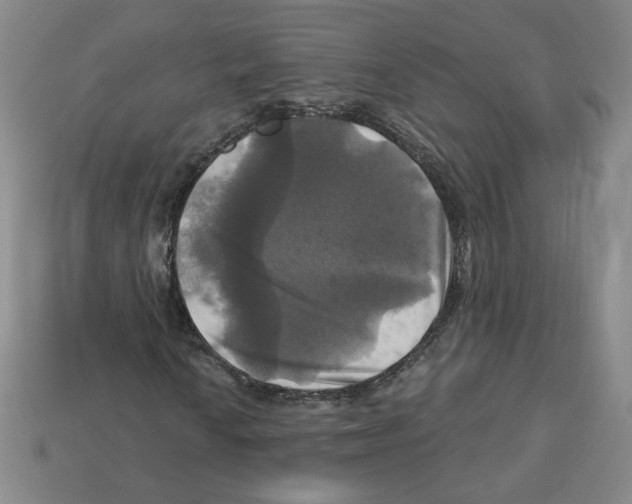 X0000113051010200910081227