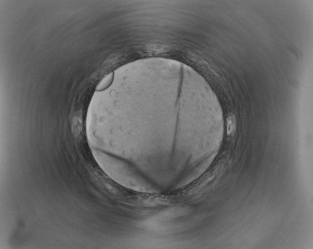 X0000113051011200910081227
