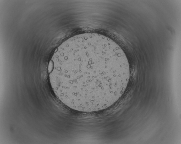 X0000113051012200910081227