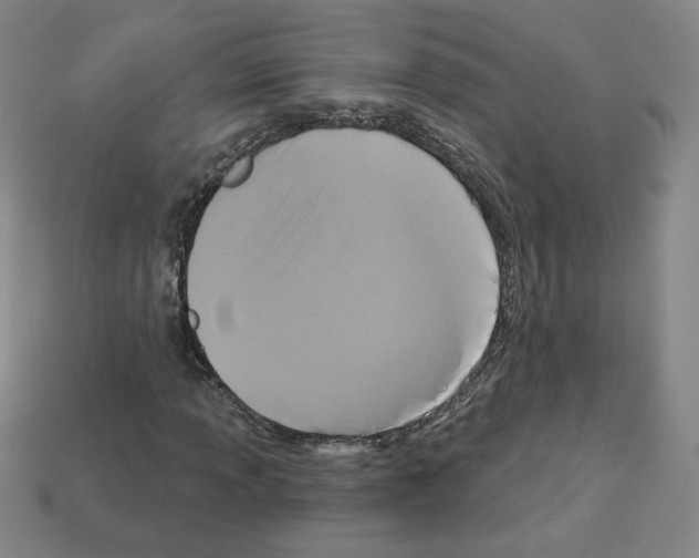 X0000113051013200910081227