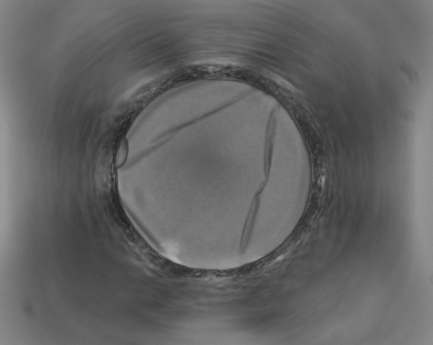 X0000113051014200910081227
