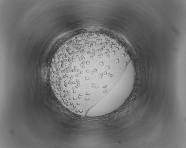 X0000113051016200910081227