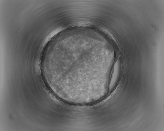 X0000113051018200910081227