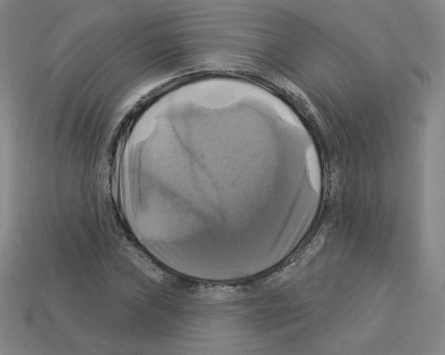 X0000113051019200910081227