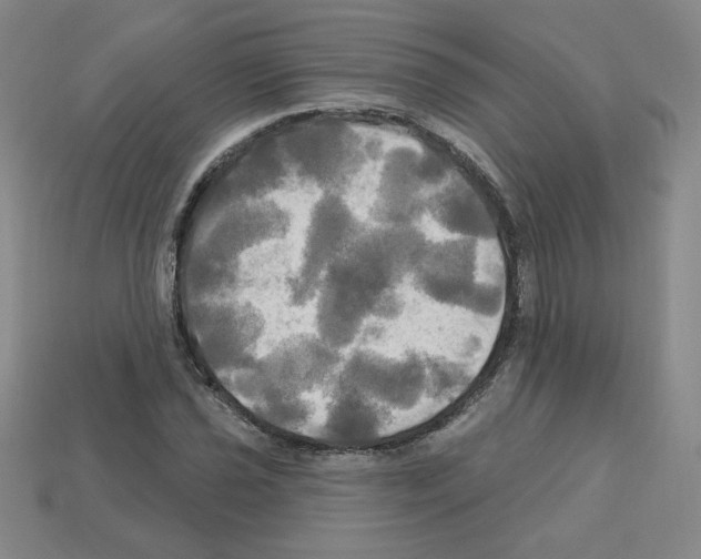 X0000113051021200910081227