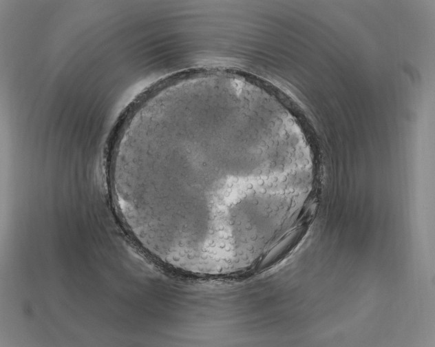 X0000113051022200910081227