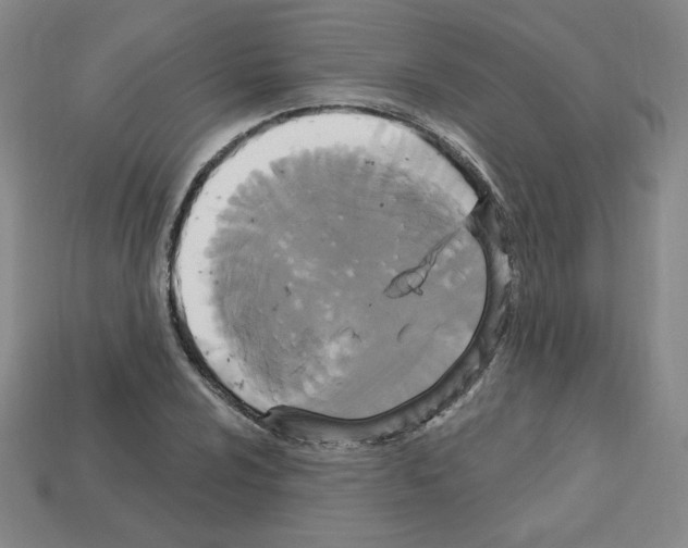 X0000113051024200910081227