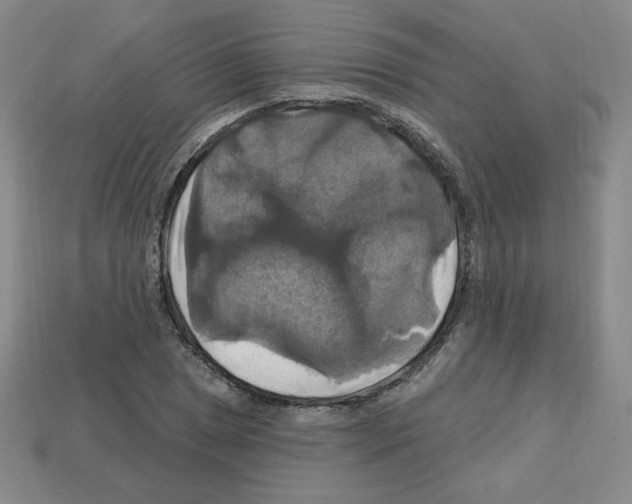 X0000113051025200910081227