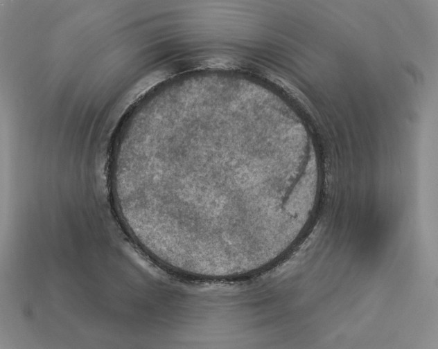 X0000113051026200910081227