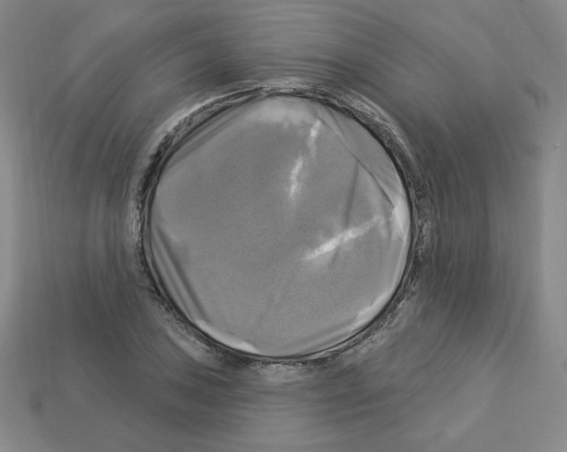 X0000113051027200910081227