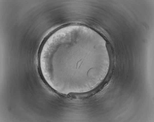 X0000113051028200910081227