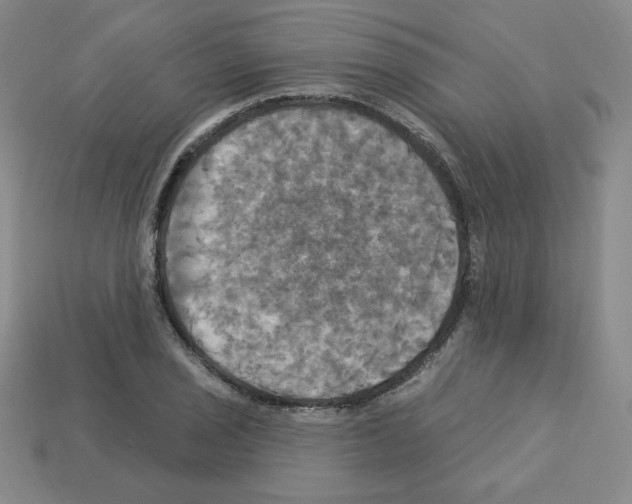 X0000113051029200910081227