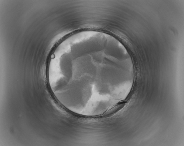 X0000113051030200910081227