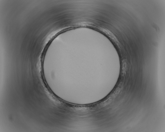 X0000113051031200910081227