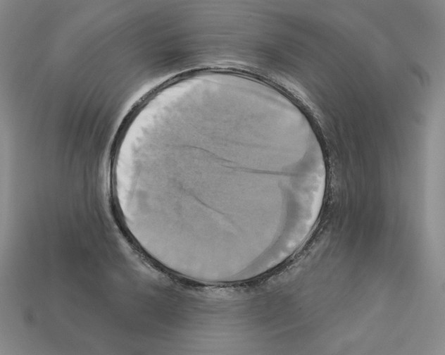 X0000113051032200910081227