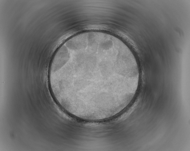 X0000113051033200910081227