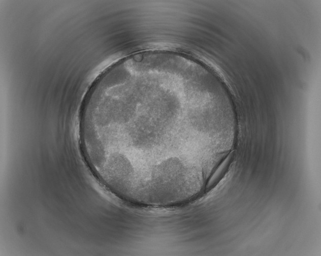 X0000113051034200910081227