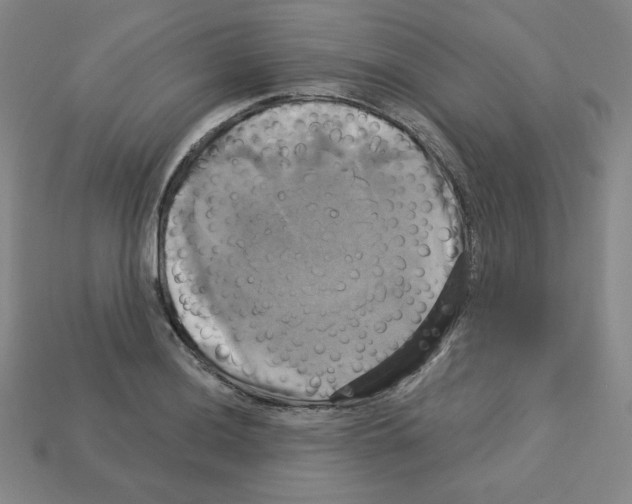 X0000113051036200910081227