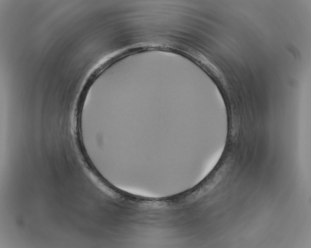 X0000113051037200910081227