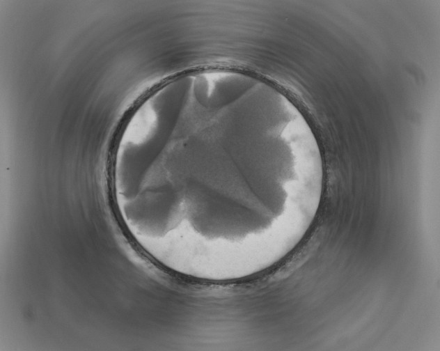 X0000113051038200910081227