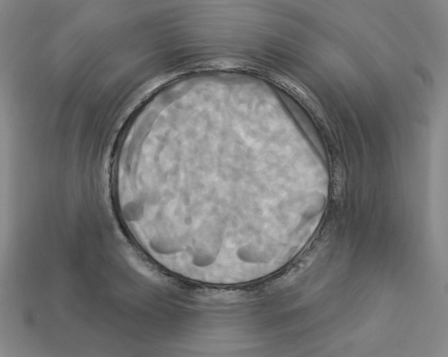 X0000113051039200910081227