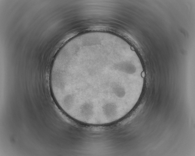 X0000113051041200910081227