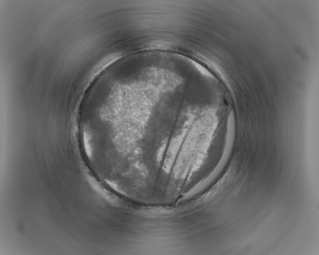 X0000113051042200910081227