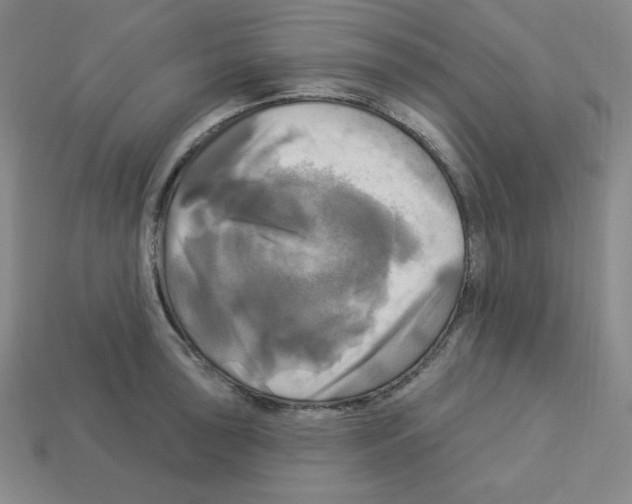 X0000113051043200910081227