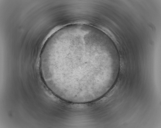 X0000113051044200910081227
