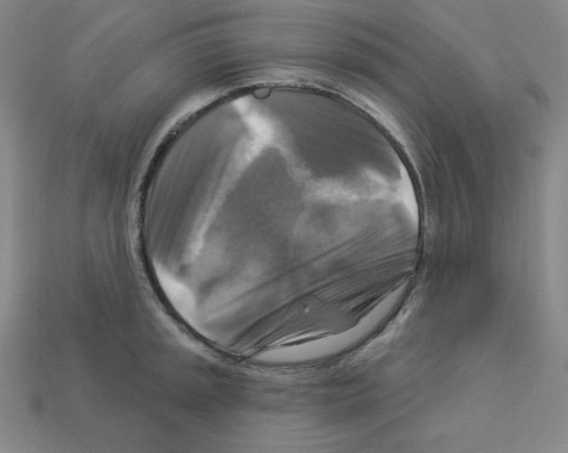X0000113051045200910081227