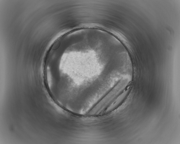 X0000113051046200910081227