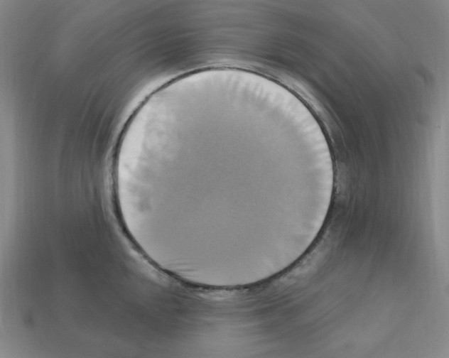 X0000113051048200910081227