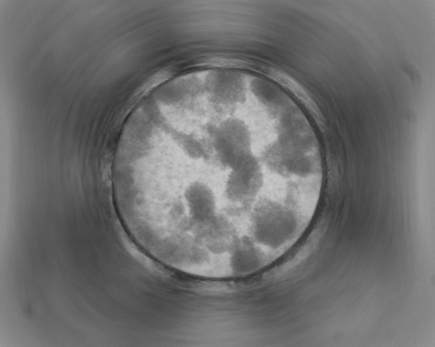 X0000113051049200910081227