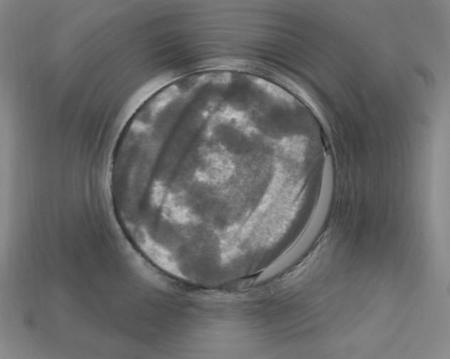 X0000113051050200910081227