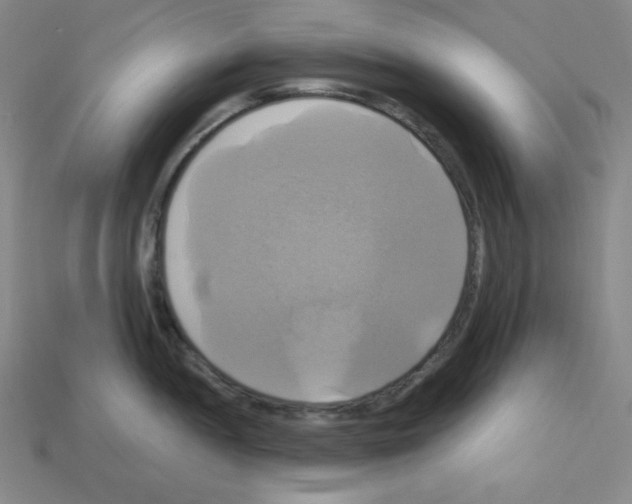 X0000113051052200910081227