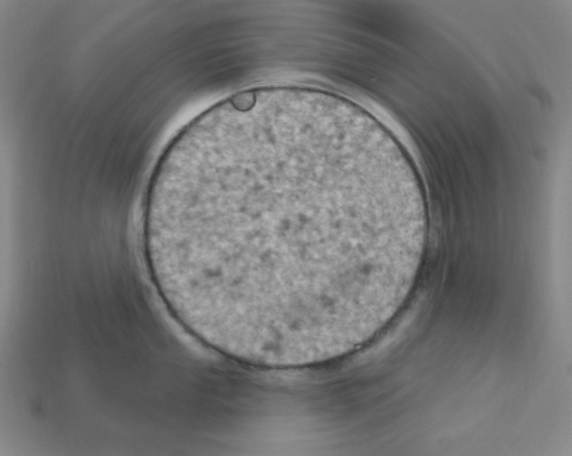 X0000113051053200910081227