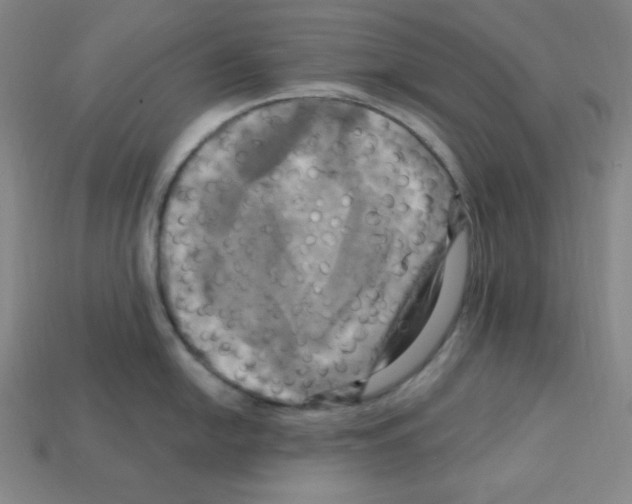 X0000113051054200910081227
