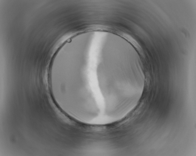 X0000113051055200910081227