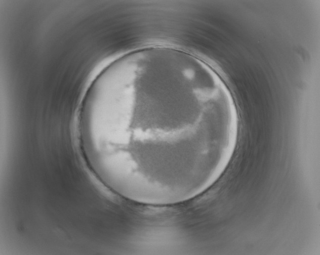 X0000113051056200910081227