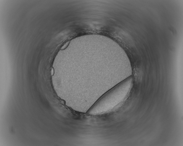 X0000113051057200910081227