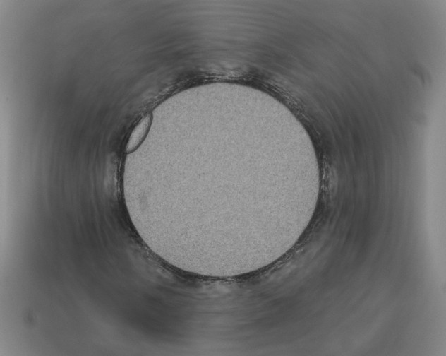 X0000113051058200910081227