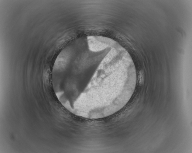 X0000113051059200910081227