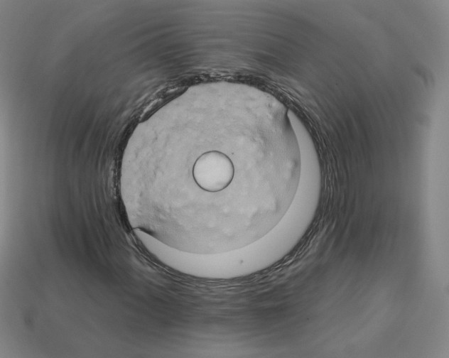 X0000113051060200910081227