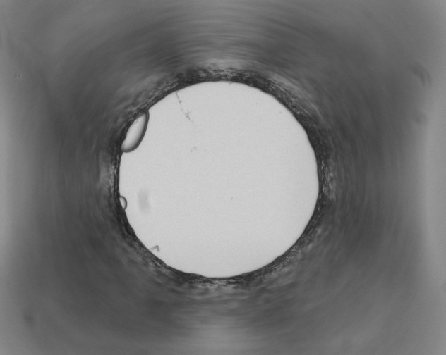 X0000113051061200910081227
