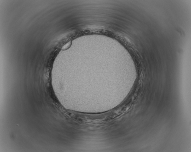 X0000113051062200910081227