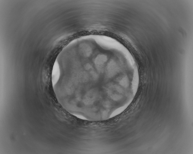 X0000113051063200910081227